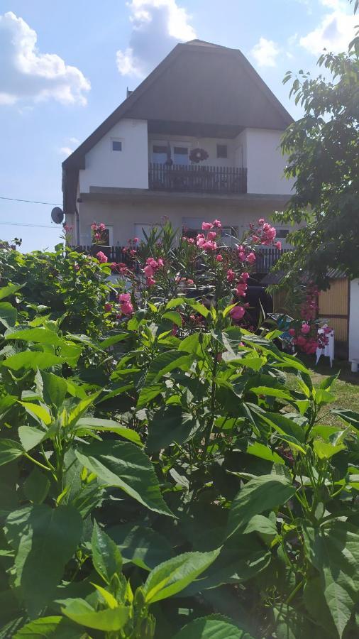 Leander Apartman Balatonlelle Eksteriør billede