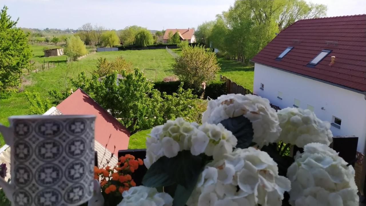Leander Apartman Balatonlelle Eksteriør billede